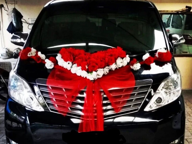 Alphard BK4