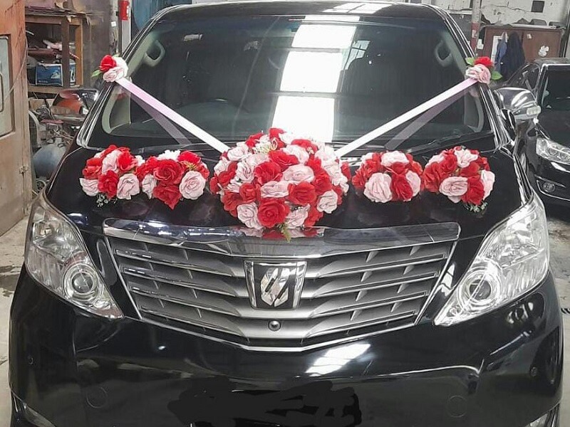 Alphard BK7